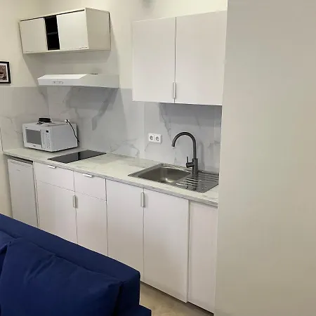 Petit Sagasta Apartamentos-sagasta *